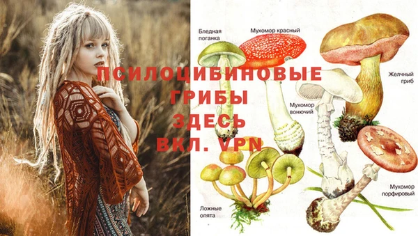 метадон Алзамай
