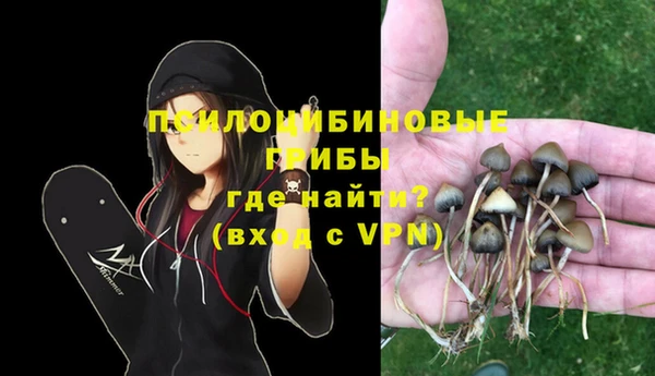 круглые Алексеевка