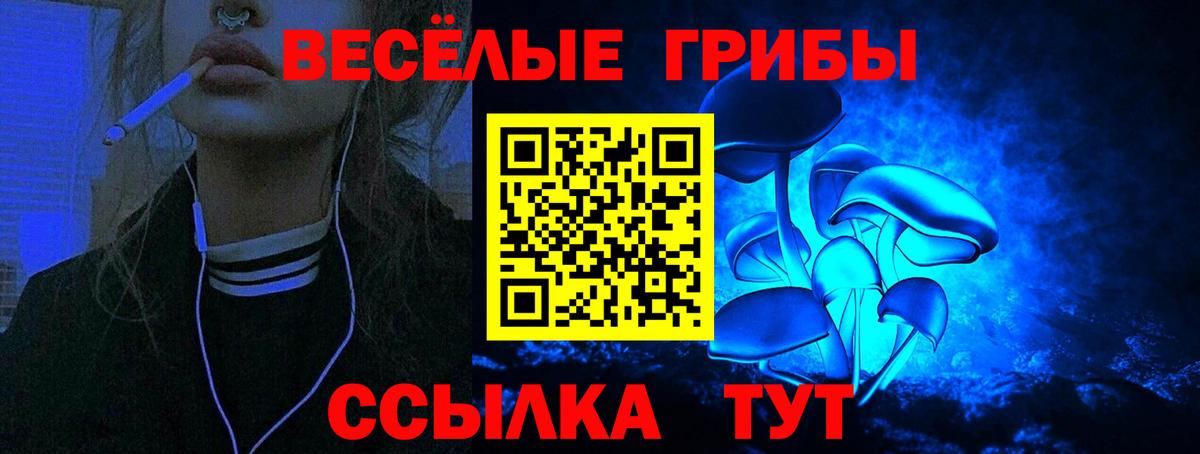 Галлюциногенные грибы мицелий Сокол